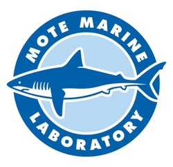 https://mote.org